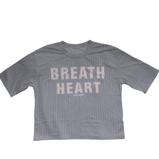 Blue Pinstripe Crop Top (Size L)