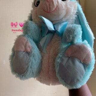 Sky Blue Ribbon Bunny