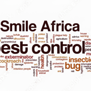 Pest Control Services