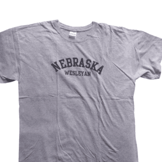 Grey collegiate tee (XL)